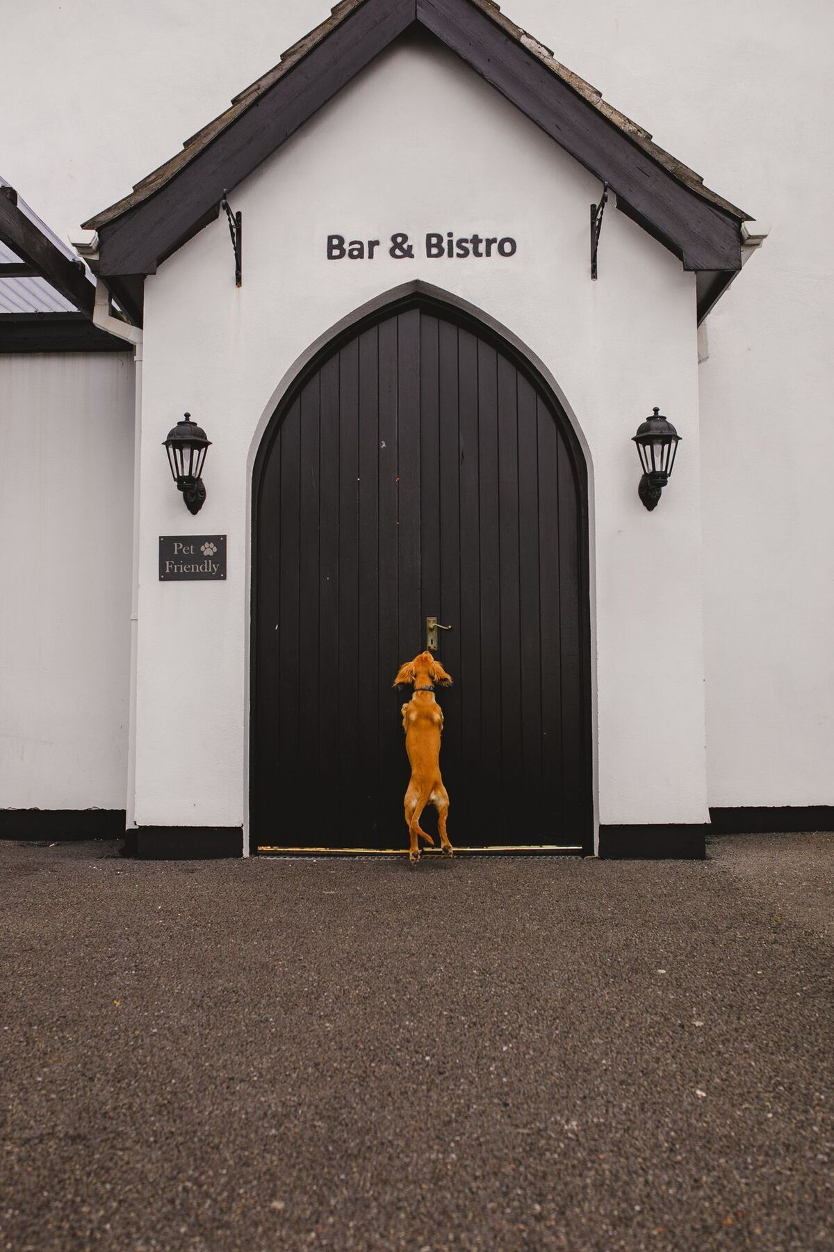 Inn On The Coast Portrush Buitenkant foto